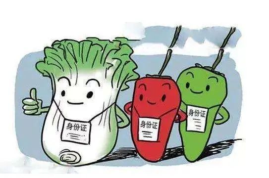 持证上岗,保障&ldquo;舌尖上安全&rdquo;,崇明区全面试行食用农产品合格证制度!