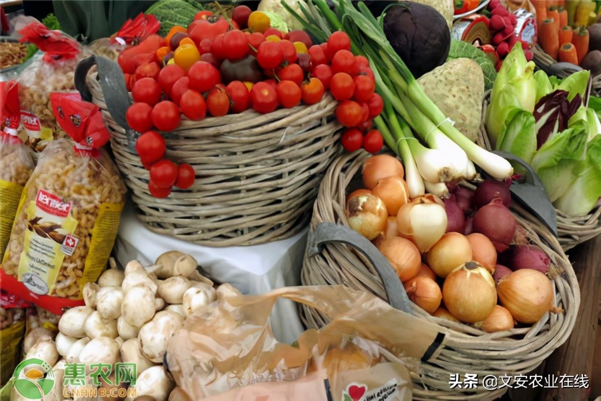 农产品如何注册商标？完整流程与费用解析